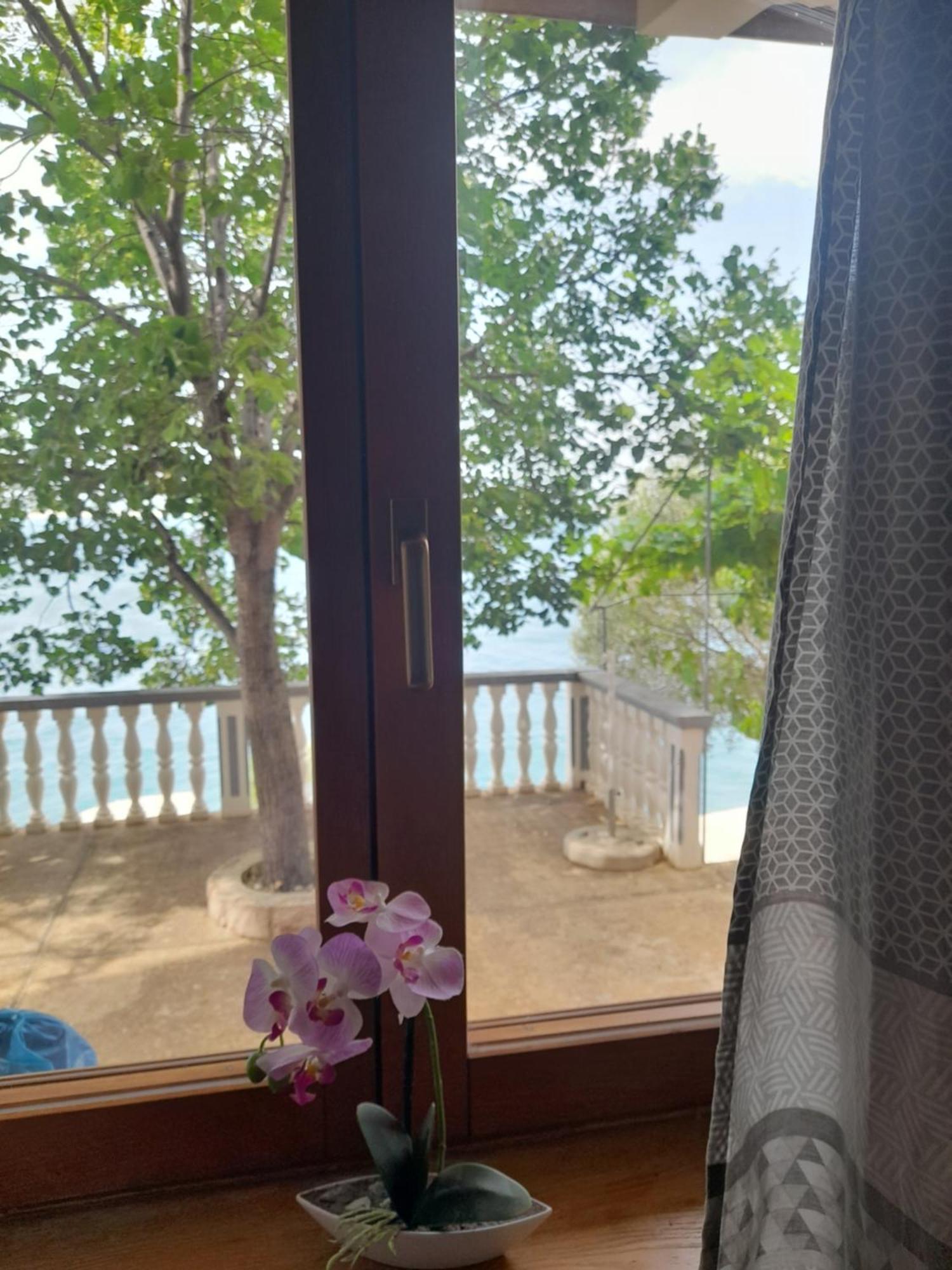 Apartmani Antea Стариград-Пакленица Стая снимка